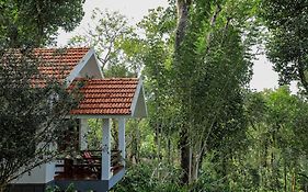 Dhanagiri Homestay Wayanad